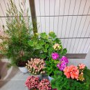 남경추어탕 이미지