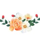 the복공인중개사사무소 이미지