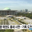 태극태권도 이미지