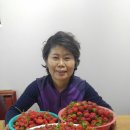 미라농원 네이버블로그