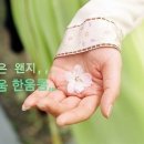 송미향