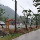 내평계곡야영장 이미지