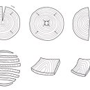 목재건조시 수축방향 이미지