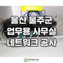 울산 울주군 사무실 네트워크 랜 케이블 포설 공사