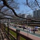 온천천카페거리(느티나무유치원 앞) 이미지