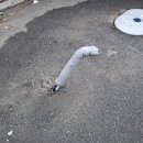 장수서창동-30 이미지