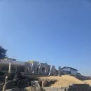 모아이 | 가평카페 아침고요수목원근처 애견동반 모아이카페 주차 방문 후기