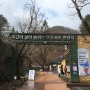 구구리 Daum카페