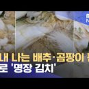 &#39;명인 김치&#39;에 썩은 배추 무, 한성식품 김순자 20220222 mbc外 이미지