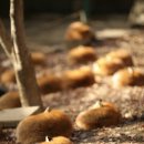 어느멋진날에1 이미지