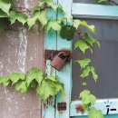 해님약국 이미지