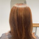 칼리지미용실 | 한남동 이태원 미용실 부티크찰리강 컷트 + 톤다운염색 후기