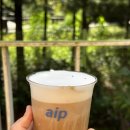 뽑기몬스터 | 부천 식물카페 에이프에서 식물뽑기로 몬스테라 화이트몬스터 당첨된 후기