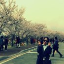 왕인농장 이미지