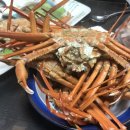 태원교통(주) | 25년, 드디어 11월