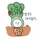 비타민 인형뽑기 이미지