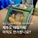 화전농장 | 제주도에서 핫한 대형카페 추천! 제주당 포장 솔직후기