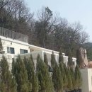상두그레이