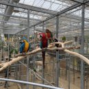 경주버드파크 이미지