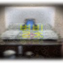 어머니의 마지막을 함께한 별빛상조: 슬픔 속의 평화로운 여정