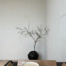 가배 이미지