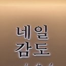 네일감도 이미지
