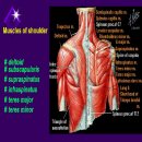 원더풀바디 피트니스 이미지