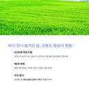 보발1리 보발쉼터(나) | 6월에만 열리는 청보리 정원🌾 교동도에서 찐 감성 충전!