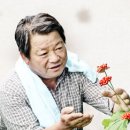 경북 농업명장 자부심 농축 `풍기인삼 세계화` 교두보 마련