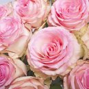 꽃사랑FLOWER