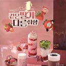 더리터조대점