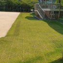 인천미산초등학교 이미지