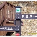 돌섬(저도)