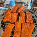 신나는아나고