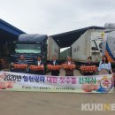 합천양파 이미지