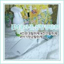 [항균] EM코라존 친환경탈취로 집안이 산뜻해요♢*ﾟ
