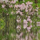 석남3동 행정복지센터 이미지