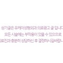 유케이성형외과 이미지