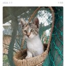 F77 | 블로그 챌린지_스페셜편_008