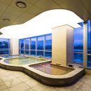 소노캄 고양 이미지