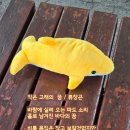 고래의꿈