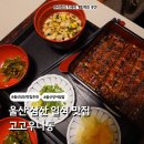나동장어 이미지