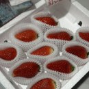 파머스포케청주 이미지