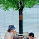 김C폰샵 | #25 강원도 동산포캠핑장 (6번사이트) #바다캠핑장 #강원도캠핑장 #동해캠핑장 #해수욕장캠핑장추천