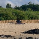 명월돌집 민박 이미지