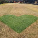 대상단조㈜ | 송추CC 골프장 회원권 시세와 소개