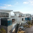 코롱코롱 이미지