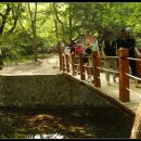 강천산군립공원(현수교) 이미지