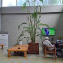 나봄온천 이미지