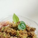 럭셔리호프 이미지